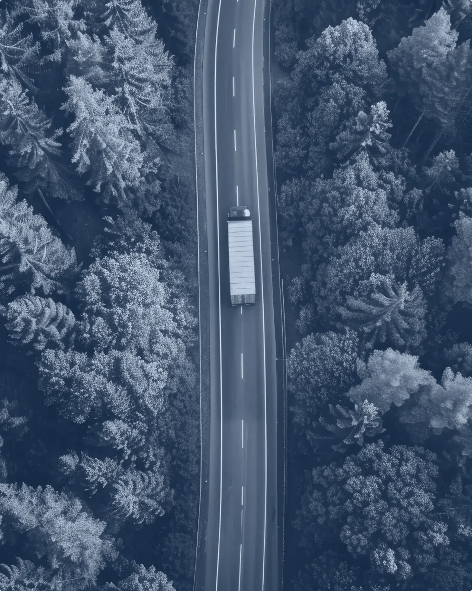 un camion sur une route entourée d'arbres vu de haut